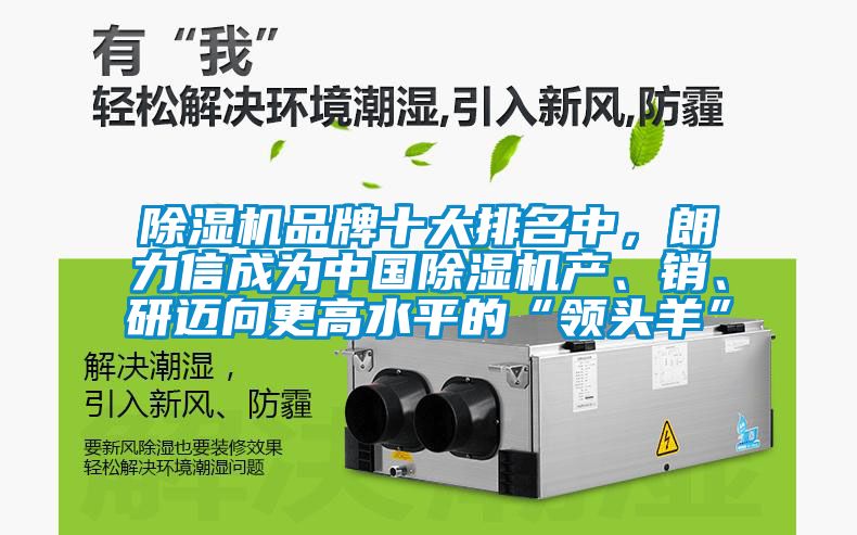 除湿机品牌十大排名中，朗力信成为中国除湿机产、销、研迈向更高水平的“领头羊”