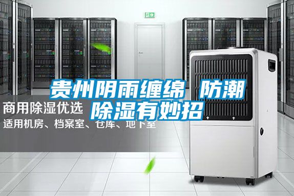 贵州阴雨缠绵 防潮除湿有妙招