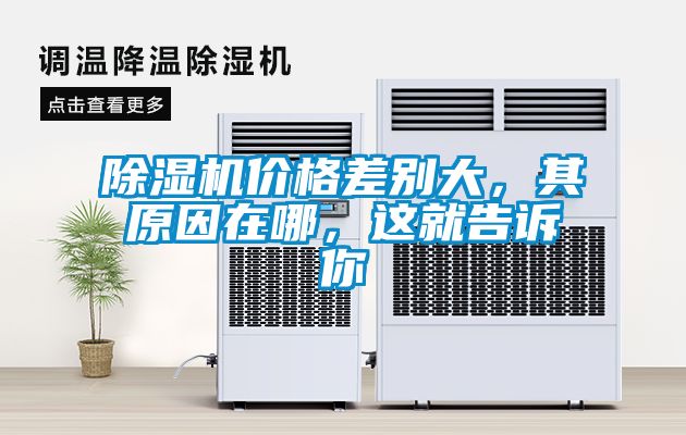 除湿机价格差别大，其原因在哪，这就告诉你