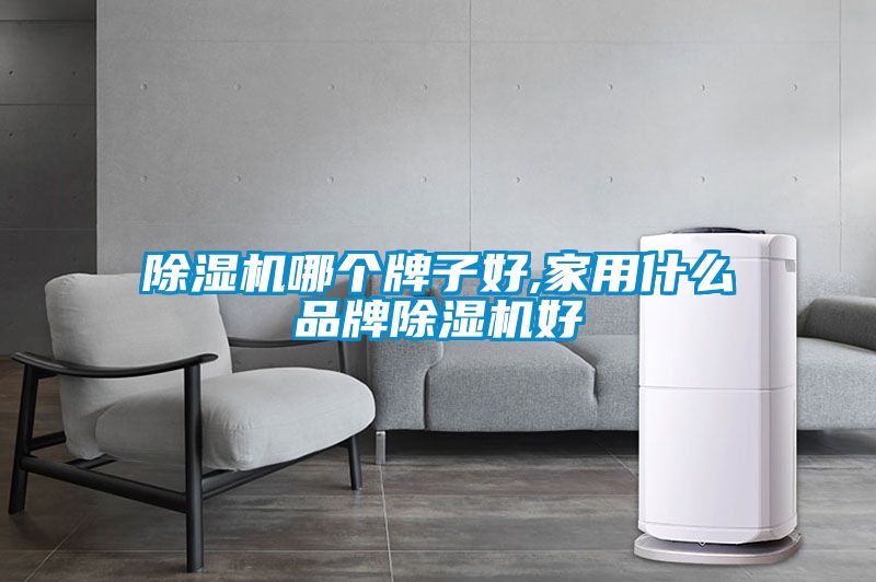 除湿机哪个牌子好,家用什么品牌除湿机好