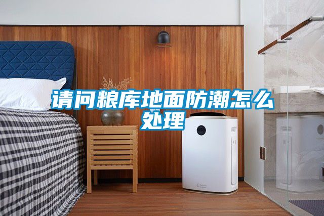请问粮库地面防潮怎么处理
