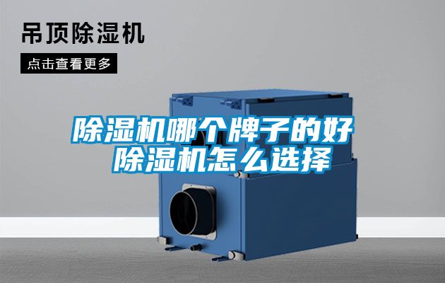 除湿机哪个牌子的好 除湿机怎么选择