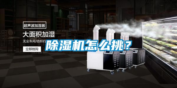 除湿机怎么挑？