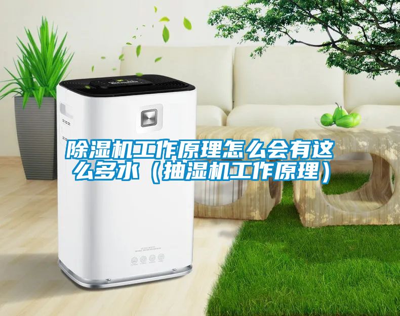 除湿机工作原理怎么会有这么多水（抽湿机工作原理）