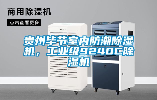 贵州毕节室内防潮除湿机，工业级9240C除湿机