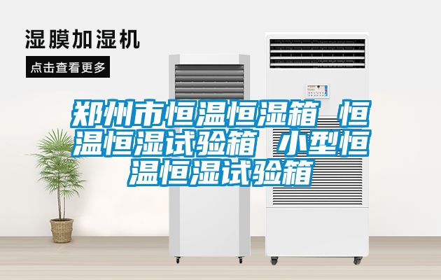 郑州市恒温恒湿箱 恒温恒湿试验箱 小型恒温恒湿试验箱