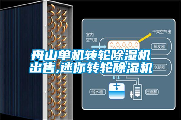 舟山单机转轮除湿机出售,迷你转轮除湿机