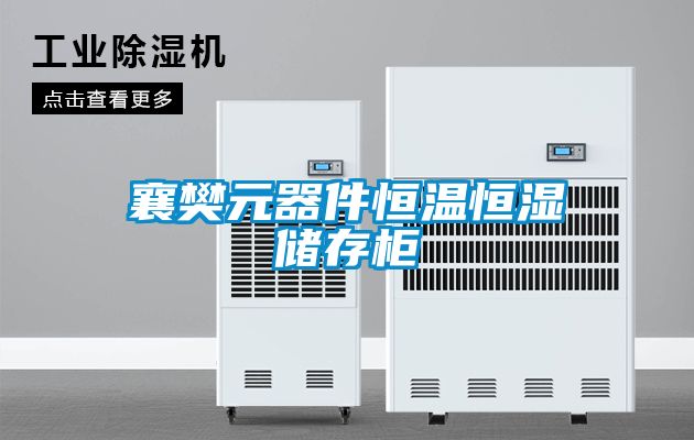 襄樊元器件恒温恒湿储存柜