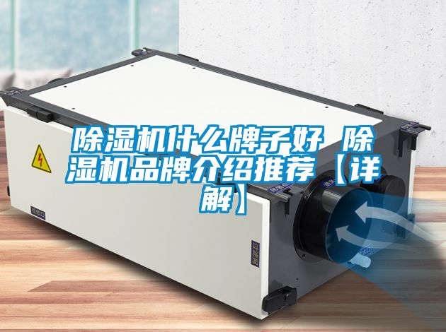 除湿机什么牌子好 除湿机品牌介绍推荐【详解】