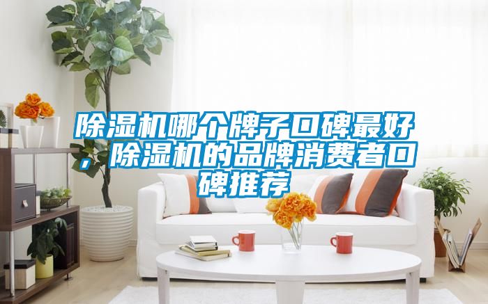 除湿机哪个牌子口碑最好，除湿机的品牌消费者口碑推荐