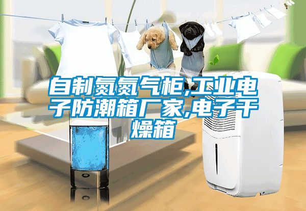 自制氮氮气柜,工业电子防潮箱厂家,电子干燥箱