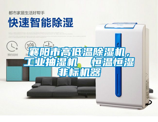 襄阳市高低温除湿机，工业抽湿机  恒温恒湿非标机器