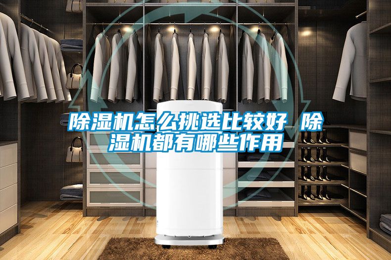除湿机怎么挑选比较好 除湿机都有哪些作用