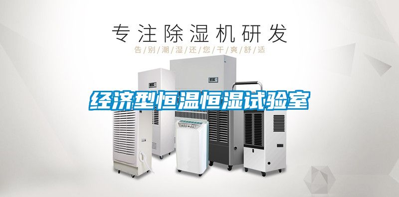 经济型恒温恒湿试验室