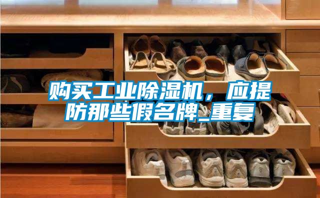 购买工业除湿机，应提防那些假名牌_重复