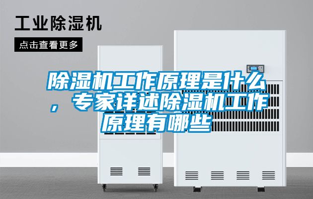 除湿机工作原理是什么，专家详述除湿机工作原理有哪些