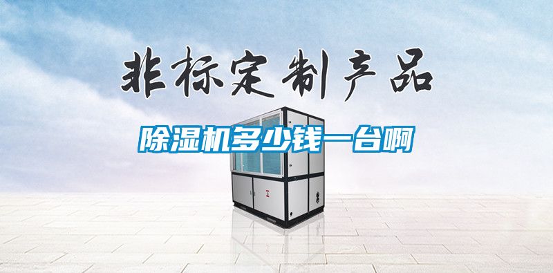 除湿机多少钱一台啊