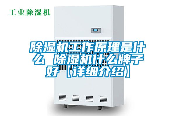 除湿机工作原理是什么 除湿机什么牌子好【详细介绍】