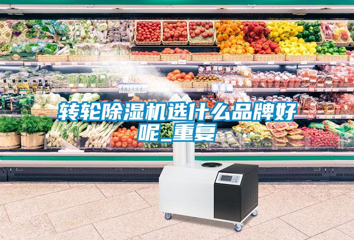 转轮除湿机选什么品牌好呢_重复