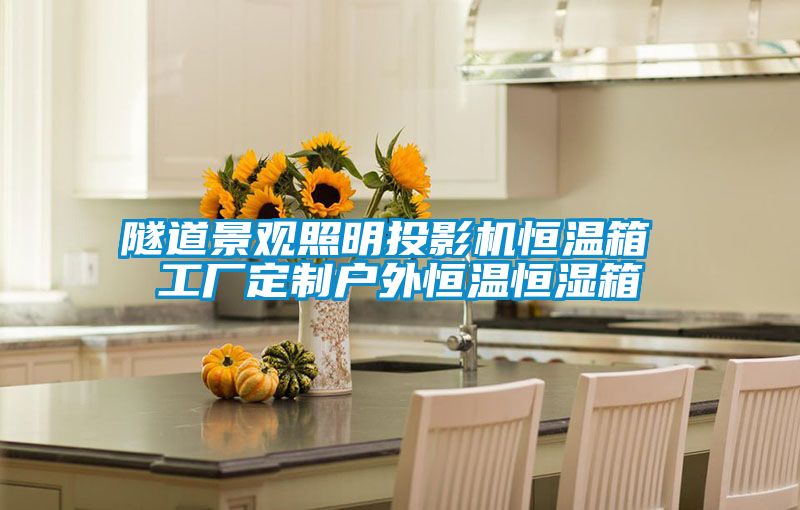 隧道景观照明投影机恒温箱 工厂定制户外恒温恒湿箱