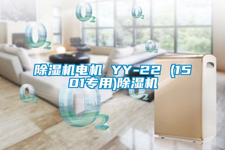 除湿机电机 YY-22 (1501专用)除湿机