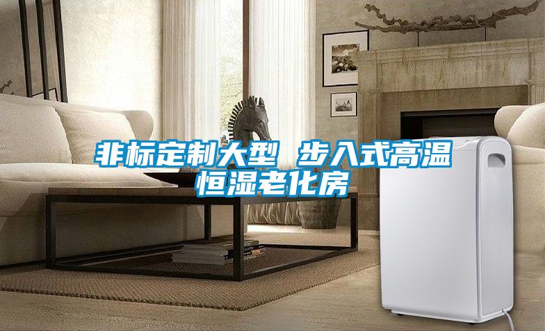 非标定制大型 步入式高温恒湿老化房