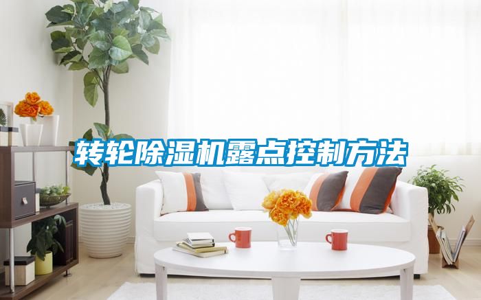 转轮除湿机露点控制方法