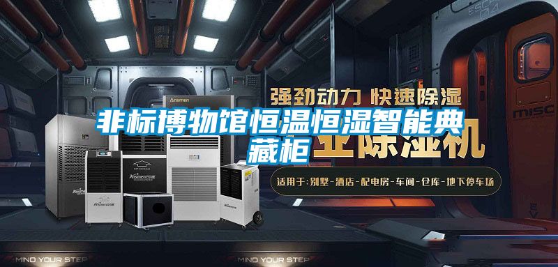 非标博物馆恒温恒湿智能典藏柜