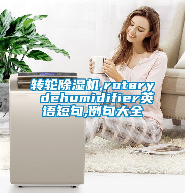 转轮除湿机,rotary dehumidifier英语短句,例句大全