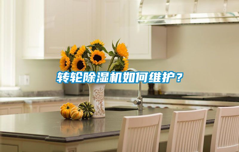 转轮除湿机如何维护？