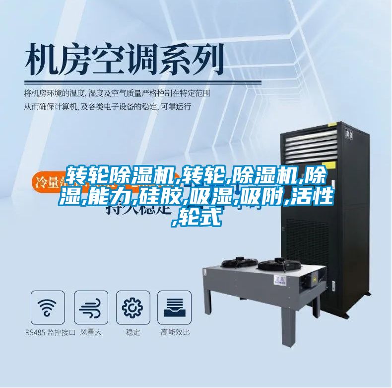 转轮除湿机,转轮,除湿机,除湿,能力,硅胶,吸湿,吸附,活性,轮式