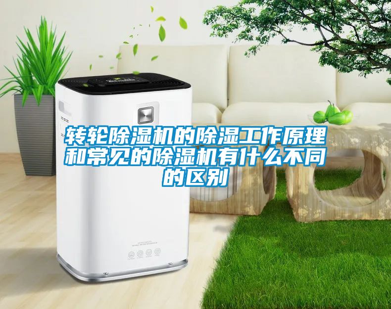 转轮除湿机的除湿工作原理和常见的除湿机有什么不同的区别