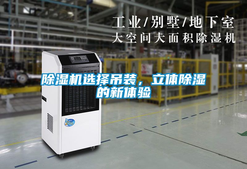 除湿机选择吊装，立体除湿的新体验