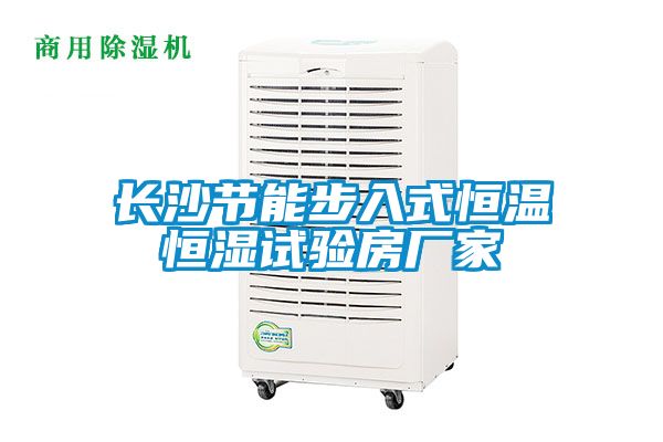 长沙节能步入式恒温恒湿试验房厂家