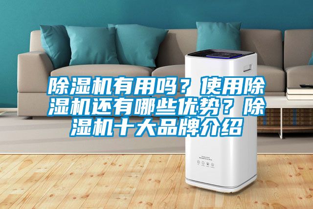 除湿机有用吗？使用除湿机还有哪些优势？除湿机十大品牌介绍