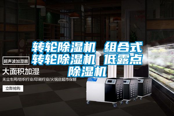 转轮除湿机 组合式转轮除湿机 低露点除湿机