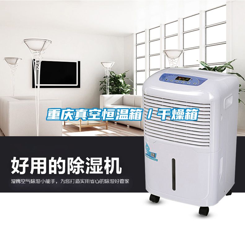 重庆真空恒温箱／干燥箱