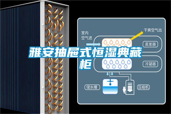 雅安抽屉式恒湿典藏柜
