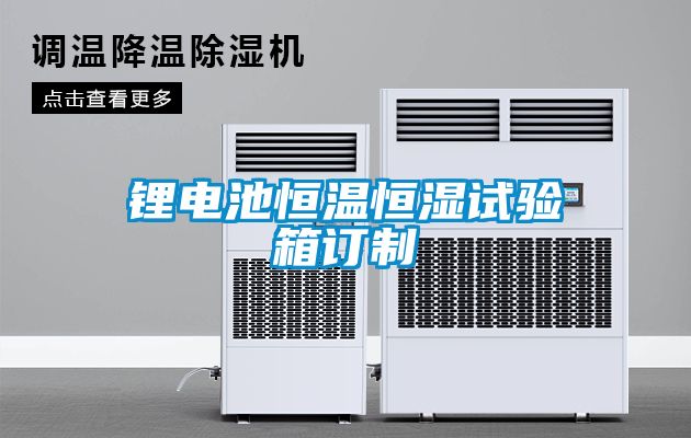 锂电池恒温恒湿试验箱订制