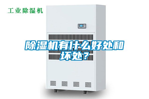 除湿机有什么好处和坏处？