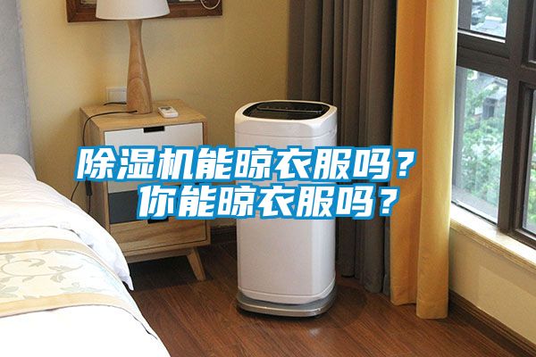 除湿机能晾衣服吗？ 你能晾衣服吗？