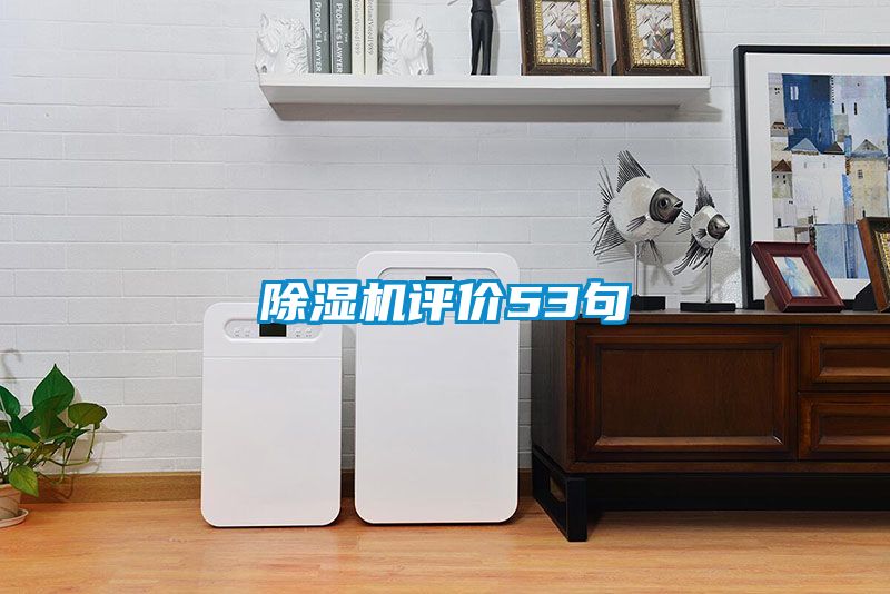 除湿机评价53句