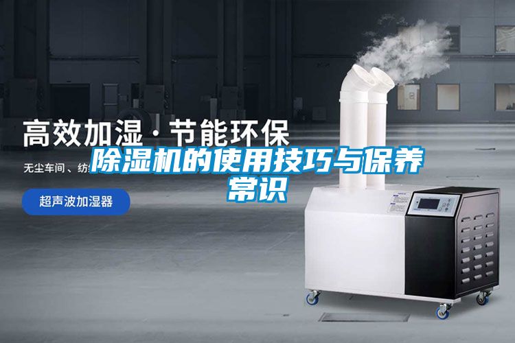除湿机的使用技巧与保养常识