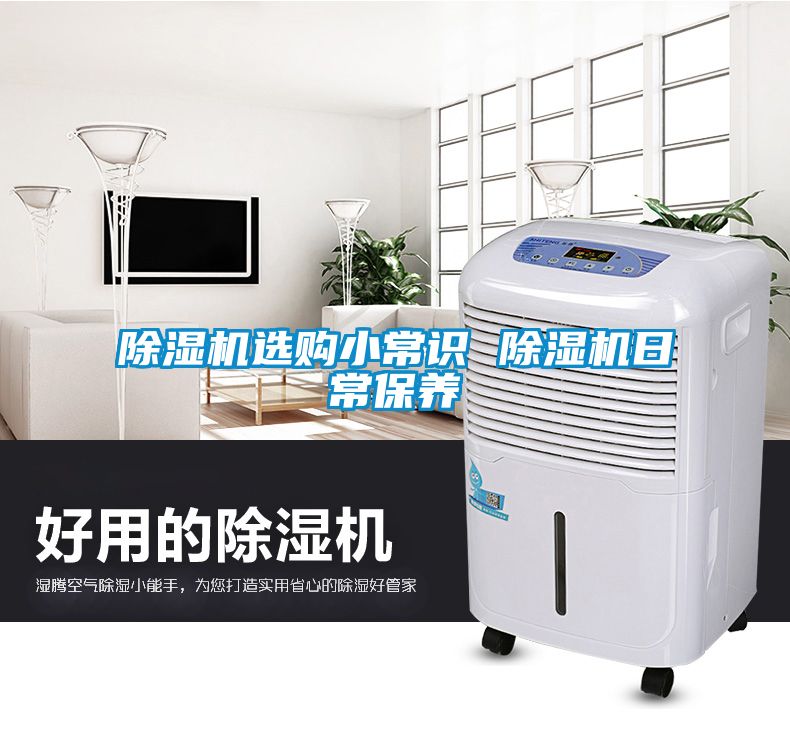 除湿机选购小常识 除湿机日常保养