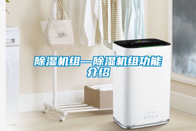 除湿机组—除湿机组功能介绍