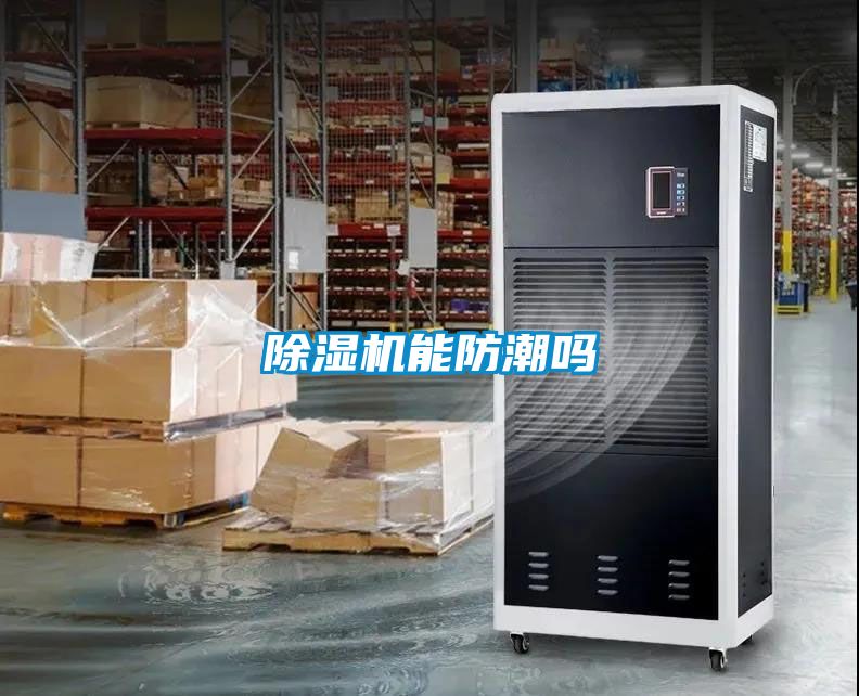 除湿机能防潮吗
