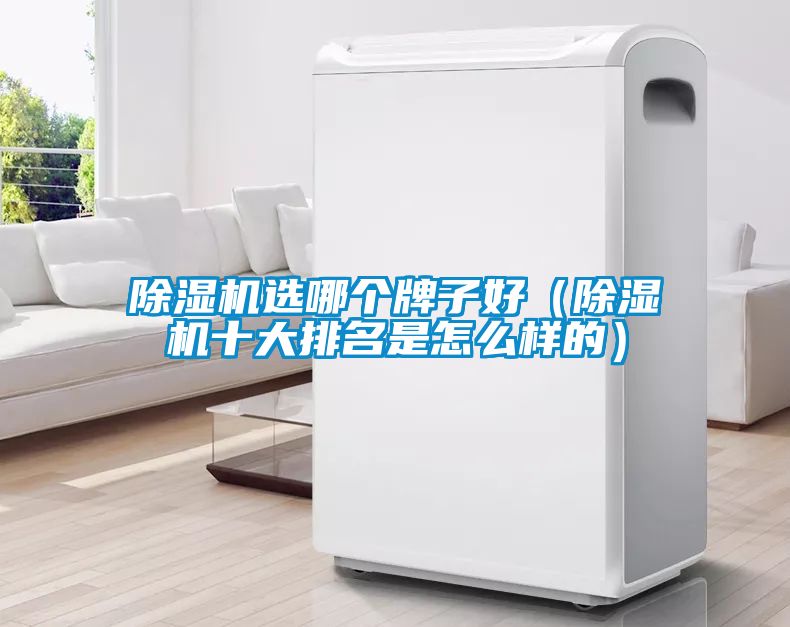 除湿机选哪个牌子好（除湿机十大排名是怎么样的）