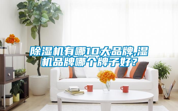除湿机有哪10大品牌,湿机品牌哪个牌子好？