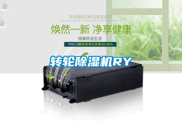 转轮除湿机RY