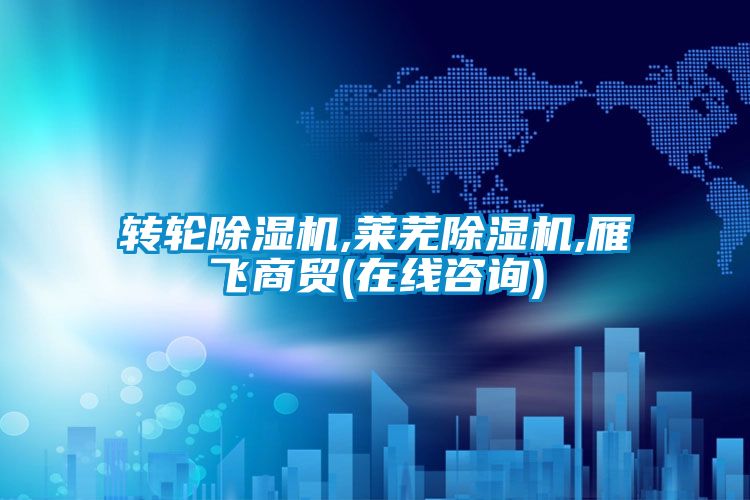 转轮除湿机,莱芜除湿机,雁飞商贸(在线咨询)